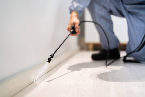 Licensed Mosquito Control service in Marvin, NC - Show Me Pest Control
