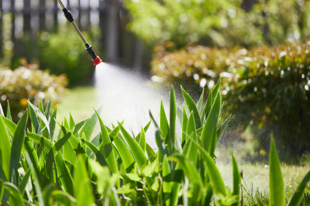24/7 Emergency Mosquito Control experts in Marvin, NC
